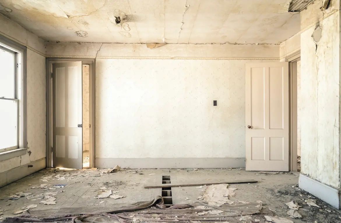 Waste disposal crew managing a cleanout project in Seaford